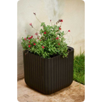   () Keter CUBE PLANTER L, 50,5,   521