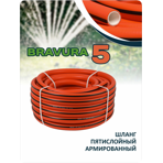   Bravura V 3/4 (19 ) 50 .