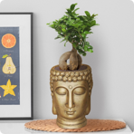   () Idealist Face Planter  (BUD-FP-GLD-19)